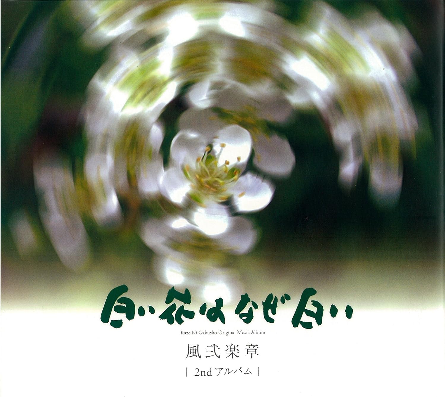 白い花はなぜ白い